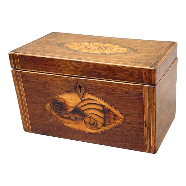 Georgian 18th Century Mahogany Tea Caddy