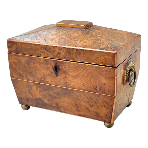 Regency Burr Yew Tea Caddy
