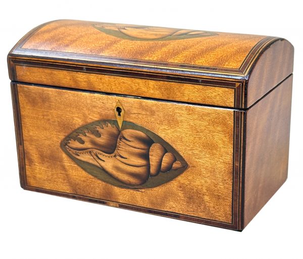 18th Century Satinwood Domed Tea Caddy
