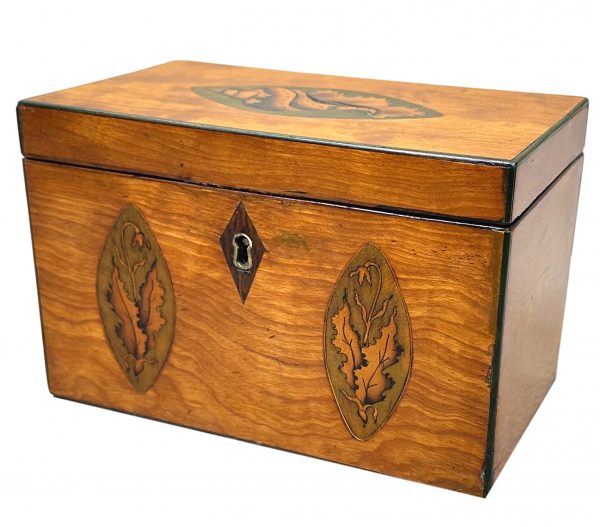 Georgian Satinwood Oblong Tea Caddy