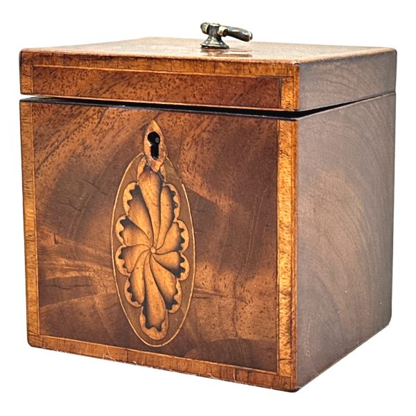 Georgian 18th Century Mahogany Tea Caddy
