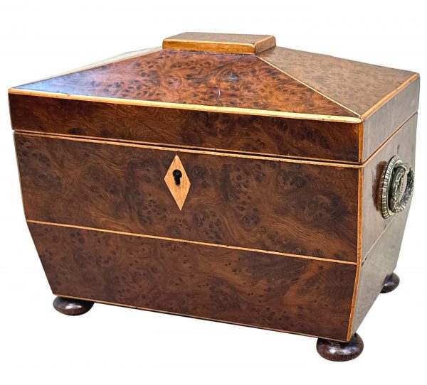 Burr Yew 19th Century Tea Caddy