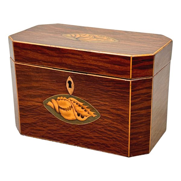 Georgian Octagonal Partridgewood Tea Caddy