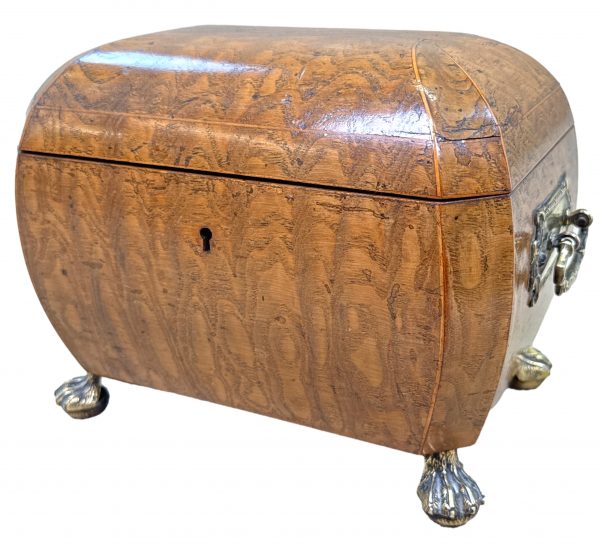 Regency Period Elm Curved Bombe Tea Caddy